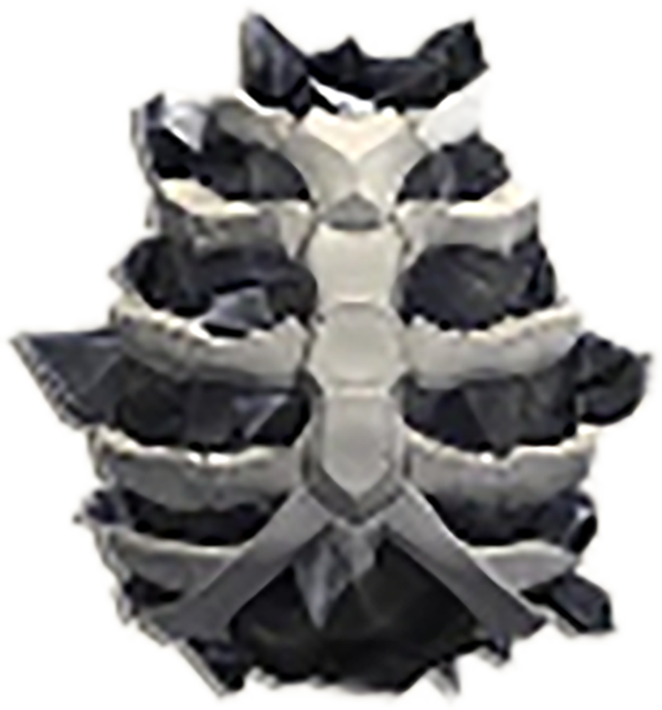 Egg23