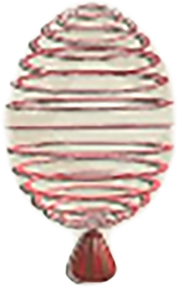 Egg43