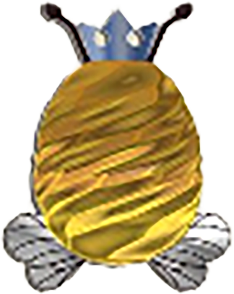 Egg46