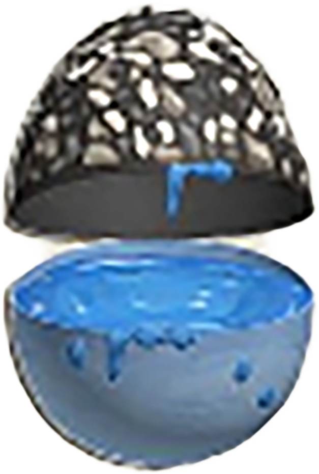 Egg62