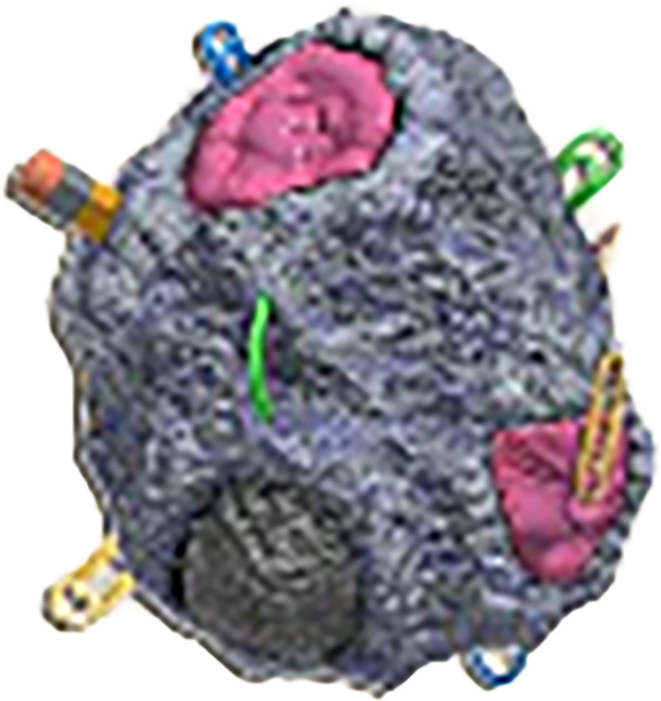 Egg64