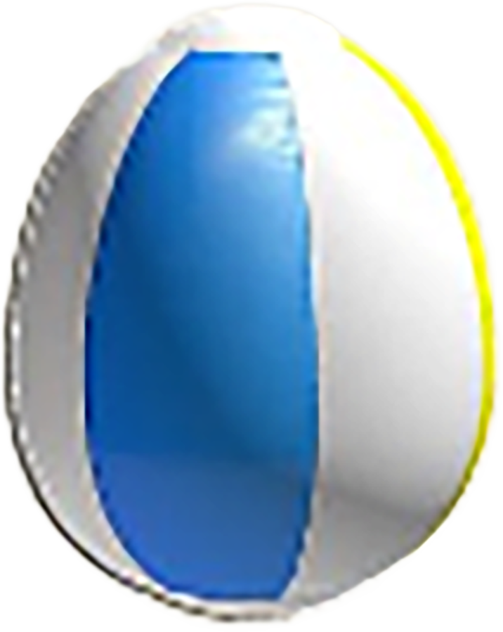 Egg65